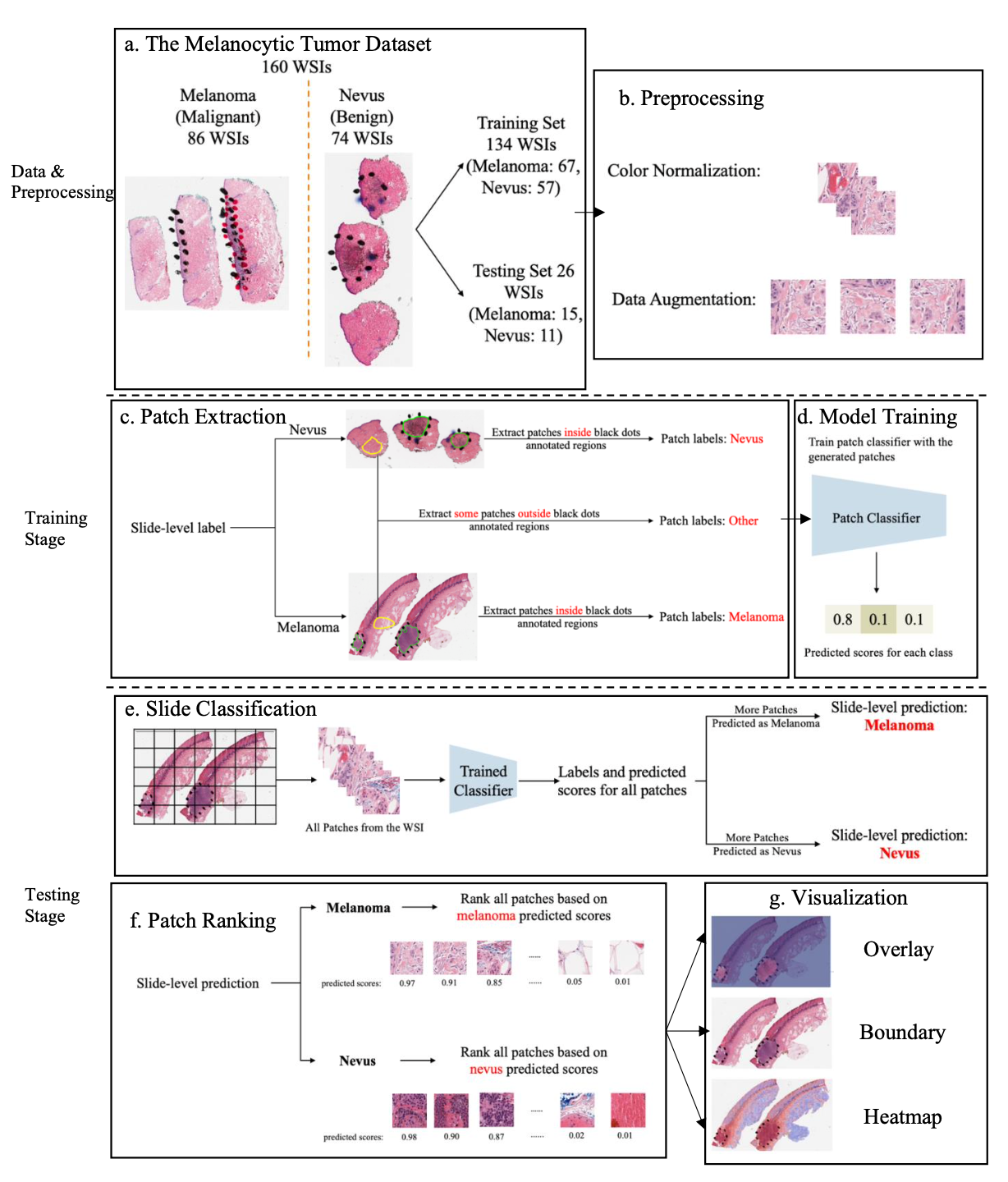 PCLA-3C workflow from patch extraction to model scoring and visualization